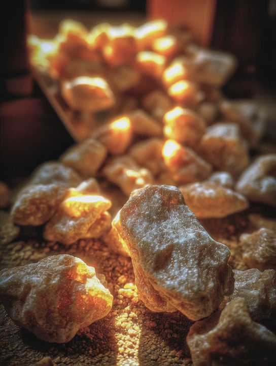 LUNE NOIRE EAU DE PARFUM 1.7oz 50ml